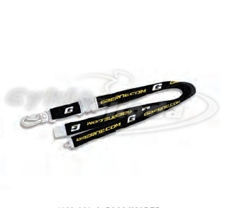Pass holder
